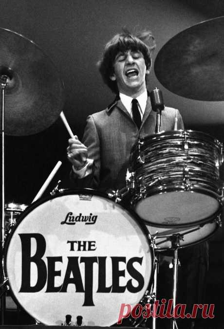 Ringo Starr - The Beatles | The Beatles