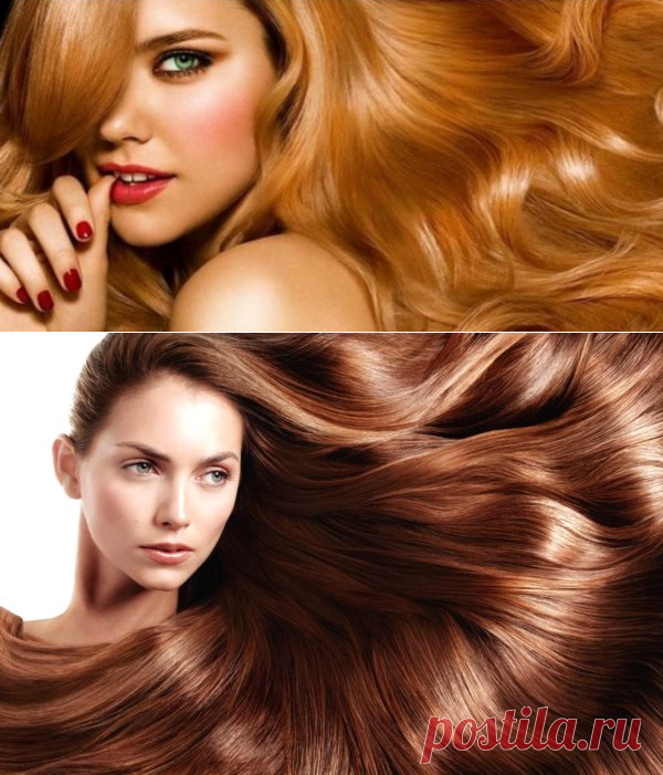 ЧТО ВЛИЯЕТ НА КРАСОТУ И РОСТ ВОЛОС?

Друзья, что влияет на рост волос? В этой статье перечислены основные факторы, о которых необходимо знать образованному человеку. 

Каждый из нас в сутки теряет от 60 до 100 волосков, но это считается нормой. Большие потери свидетельствуют о том, что есть неполадки в работе волосяных фолликулов, связанные с возрастом, нарушением питания кожи головы, травмами, хроническими заболеваниями, гормональными сбоями или образом жизни. 

Однако у здорового