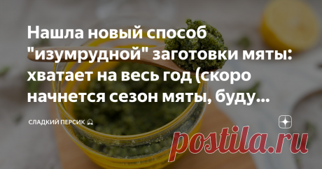 Нашла новый способ "изумрудной" заготовки мяты: хватает на весь год (скоро начнется сезон мяты, буду делать килограммами) Я просто обожаю мяту! Какой вкусный с ней чай! Могу все напитки мира (ну... кроме бокала красного сухого вечером) обменять на мятный чай. Да ладно, даже и бокал могу =) Потому что черный крепкий чай с мятой, да со смородиновыми почками – это любовь навеки! Раньше мы мяту просто сушили и в таком виде добавляли в чай, лимонады, соусы и некоторые основные ...