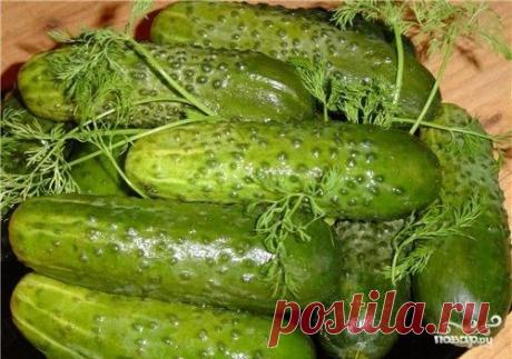 Малосольные огурчики - кулинарный рецепт на Повар.ру