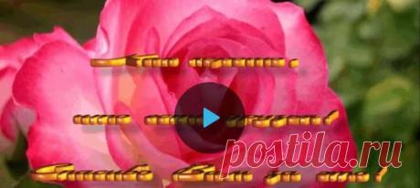 Красноярск: что, где, куда