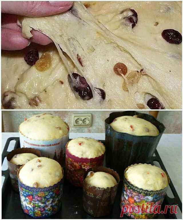Сразу сохраняйте. Рецепту 20 лет и вкуснее куличей вы точно не ели: мягкие как пух и очень вкусные

Ингредиенты:
молоко - 250 мл 
дрожжи свежие - 30г (или сухие 10 г)
мука - 800 г
яйца - 3 шт
сливочное масло - 100 г
Сахар - 120 г
ванилин - 1 г
изюм - 150 г
соль - 1/2 ч.л
уксус 9% - 1 ст.л

Готовим:
Возьмите 250 мл молока, слегка подогрейте и перелейте в миску. Туда же добавьте 30 г свежих дрожжей (или 10 г сухих, если предпочитаете). Тщательно перемешайте до полного раство...