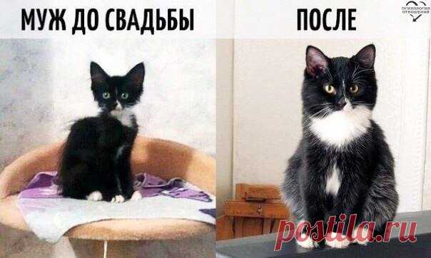 Психология отношений