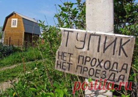 Цветы-Убийцы