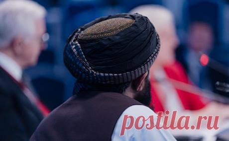 В Думе предложили механизм снятия запрета с террористических организаций. В Госдуму внесли законопроект, который предусматривает приостановку запрета на деятельность террористических организаций, если они прекратили поддержку терроризма, документ размещен в законодательной базе нижней палаты парламента.