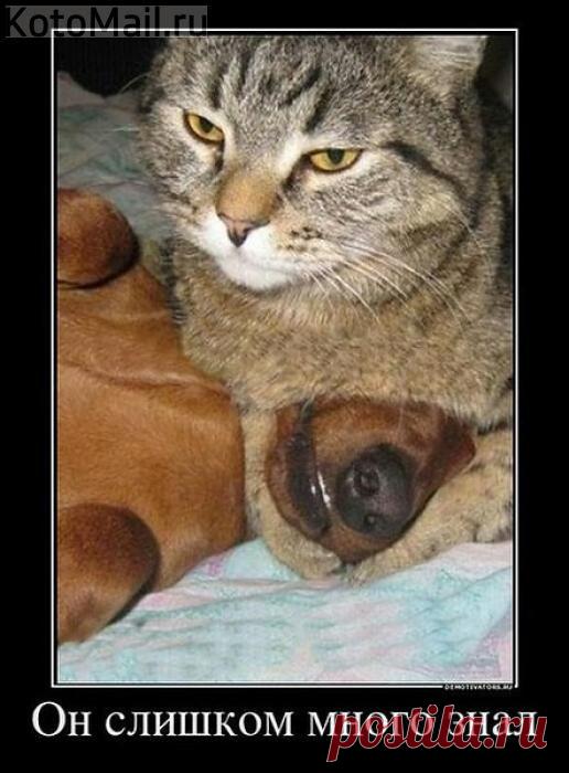 Он слишком много знал!