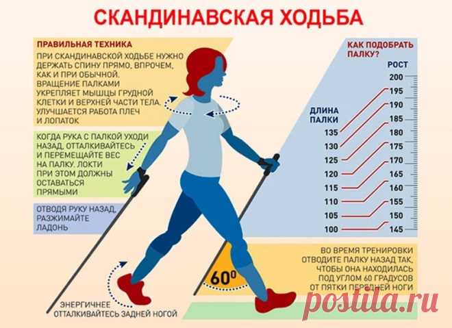 Все о скандинавской ходьбе: польза, противопоказания, рекомендации | Пансионаты «Забота о близких» | Дзен