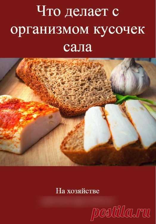 Что cделает с организмом кусочек сала: этого вы точно не знали