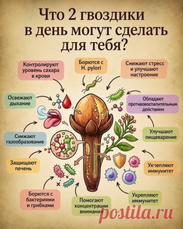 Что две гвоздики в день могут сделать для тебя