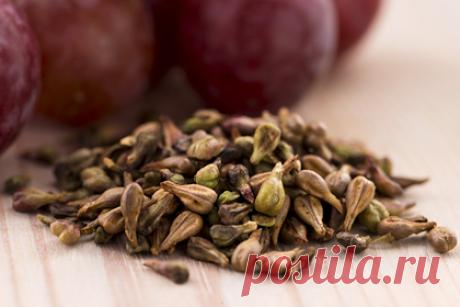 Вещество в виноградных косточках продлило жизнь мышам. Международная группа ученых из США и Китая обнаружила, что инъекции процианидина C1, содержащегося в экстракте виноградных косточек, продлевают жизнь старым животным. Это вещество снижает количество сенесцентных клеток, которые способствуют нарушению функций у рядом расположенных клеток.