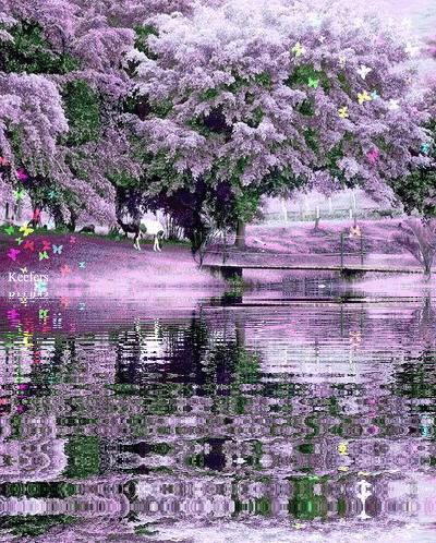 Поиск – Google+