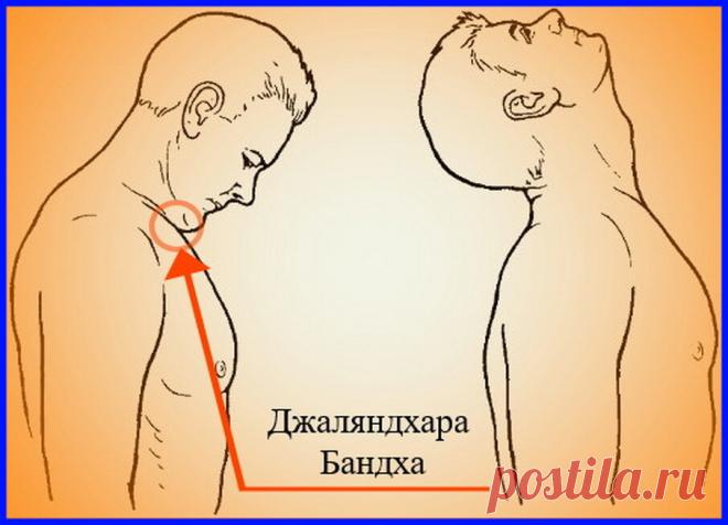 Грива Шактивардхак – Упражнения для оживления мозга. | Читающим между слов... | Яндекс Дзен