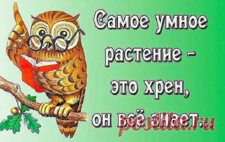 хх