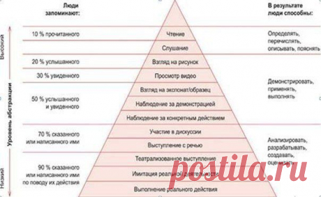 Обучение