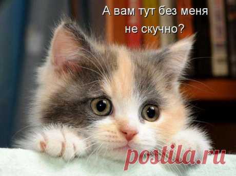 А вам тут без меня не скучно?