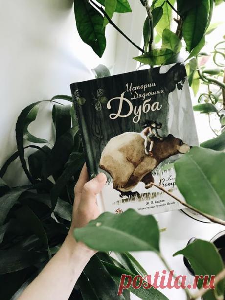 Дедушка Друс знает множество историй и сказок. Однажды он рассказал внукам — Майе и Тау — о древнем волшебном дереве, Дядюшке Дубе. Где-то внутри его ствола спрятана дверца, через которую можно попасть в удивительные миры, а на ветвях живёт Мальчик Йогурт. Конечно, Майя и Тау решили отыскать Дядюшку Дуба и увидеть все своими глазами. Так начинается захватывающее фэнтези в стиле «Хроник Нарнии». Читатели попадут в особый мир, созданный с помощью слов и фантазии. Здесь сказочные сюжеты…