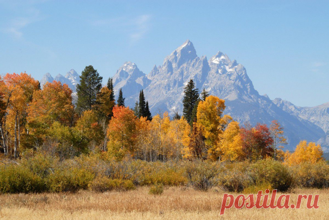 Мелодия сентября
