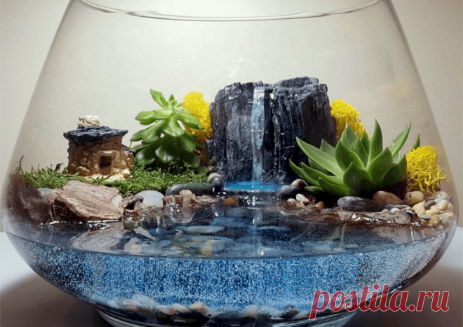 Флорариумы: виды, описание, идеи оформления ~ Planetalsad