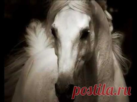 М. ЛЕРМОНТОВ. ТАЙНА РОЖДЕНИЯ ПОЭТА. Часть 3