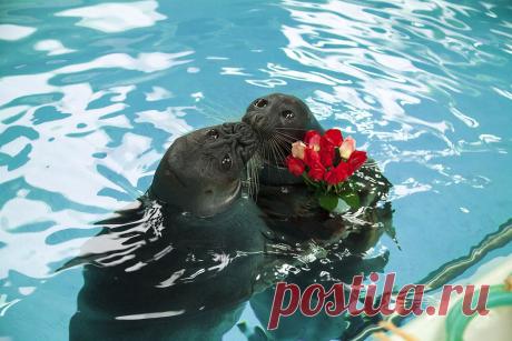 Красивые профессиональные фото, оригинальная художественная фотография – Социальная сеть о фотографии ФотоКто – страница 3