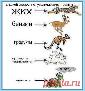 .3 вещи никогда не возвращаются обратно : 
      ВРЕМЯ 
      ВОЗМОЖНОСТЬ 
      СЛОВО .