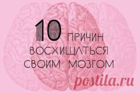 Человеческий мозг | Human psychology