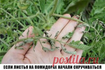 Мой Мир@Mail.Ru