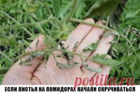 Мой Мир@Mail.Ru
