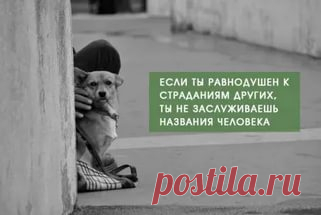 Анастасия-Александровна Разумовская-Волкова