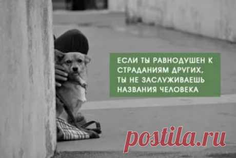 Анастасия-Александровна Разумовская-Волкова