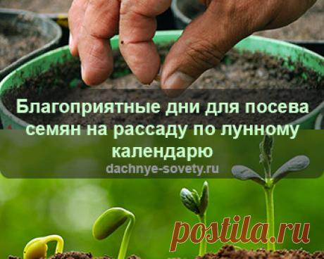 Благоприятные дни для посева семян на рассаду в 2020 году по посевному лунному календарю. Лунный календарь - таблица подскажет, когда садоводу сеять...