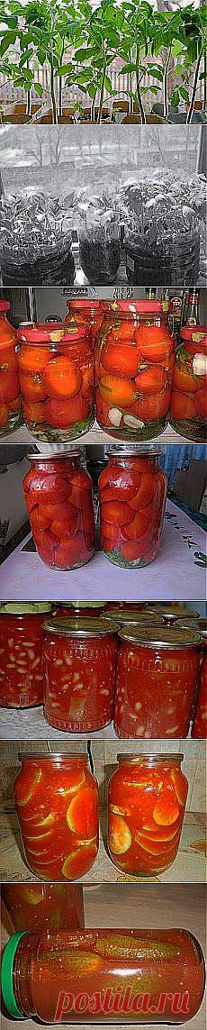 Чесночный хлебушек. - Простые рецепты Овкусе.ру и другие материалы. Новое в Вашей подборке на Постила.ru - hyanhe@mail.ru - Почта Mail.Ru