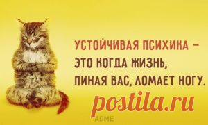У меня две новости