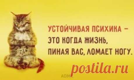 У меня две новости