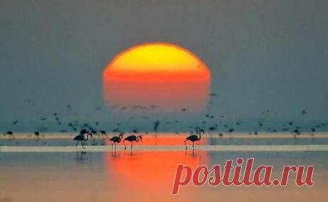 Когда Вы перестанете копаться в том, что уже произошло...
И тревожиться о том, что ещё не случилось...
Тогда Вы сможете ощущать Радость Жизни.