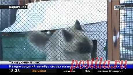 Одноклассники