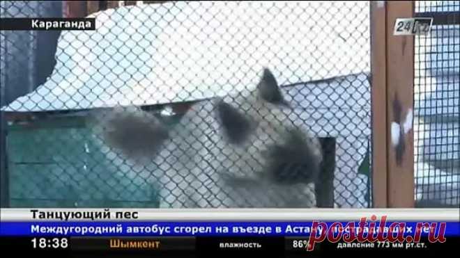 Одноклассники