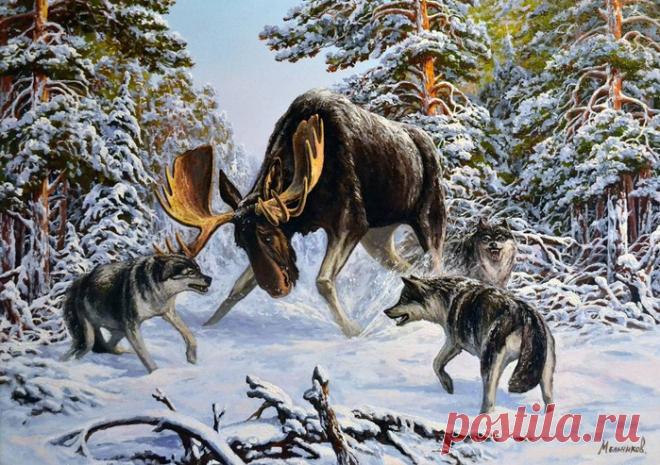 Зимние пейзажи и охота. 3 часть.Художник Мельников Александр Анатольевич .