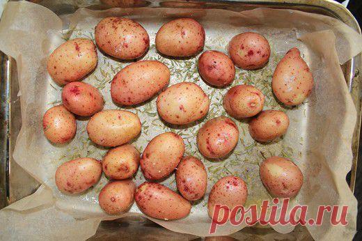 (+1) тема - Картофель с розмарином | Полезные советы