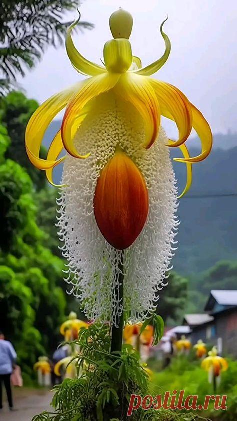 Περιέχει μια εικόνα του: