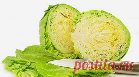 Что приготовить из молодой капусты – идеи вкусных блюд