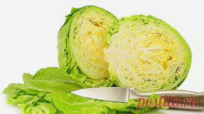 Что приготовить из молодой капусты – идеи вкусных блюд