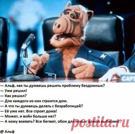 Картинки, несущие позитив / Приколы