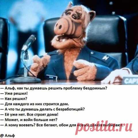 Картинки, несущие позитив / Приколы