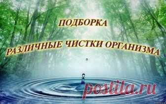 ЗАШЛАКОВАННОСТЬ ОРГАНИЗМА И ПАРАЗИТЫ ТЕЛА – ОСНОВНЫЕ ФИЗИЧЕСКИЕ ПРИЧИНЫ БОЛЬШИНСТВА БОЛЕЗНЕЙ 

Зашлакованность организма является причиной многих болезней. Поэтому профилактика и лечение всех заболеваний должны начинаться с глубокой очистки организма!

В 1955 году немецкий врач Г. Г. Рекевег сформулировал теорию зашлакованности организма человека. Суть ее состоит в том, что болезнь - это проявление реакции организма на воздействие различных токсинов.

 CЕМЬ ЭТАПОВ ЗАШЛАКОВ...