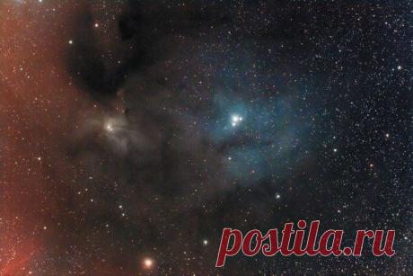 IC 4605 небольшая отражательная туманность с созвездии Скорпиона / Интересный космос