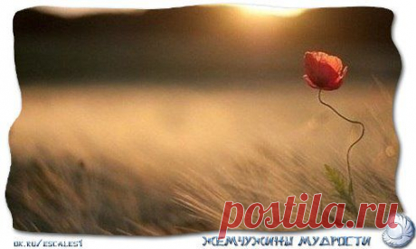 Жизнь задыхается без цели.

© Ф.М. Достоевский