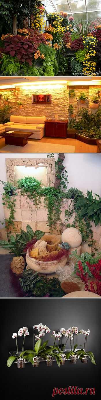 Комнатные растения в дизайне интерьера. Фото, решения. - Сады Тюмени || Официальный сайт