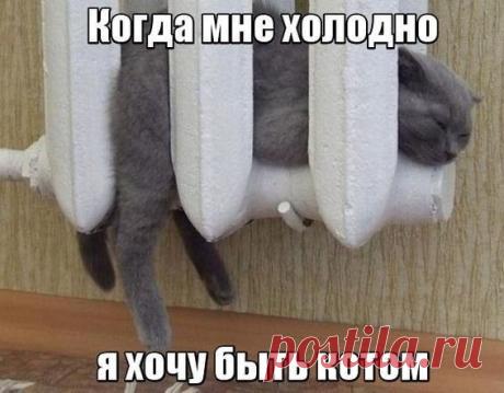 Холодная осень...
