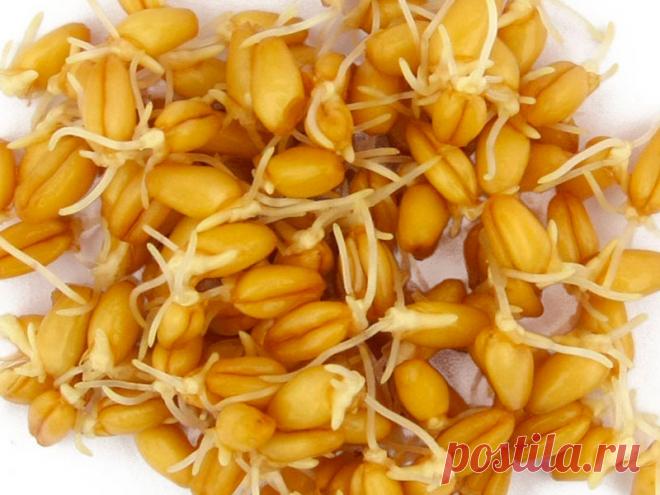 Рецепт натурального средства от рака, которое уже помогло тысячам людей! Рецепт доктора медицинских наук России, профессора Мерзлова. Рецептом этого полностью натурального средства, способствующего излечению множества